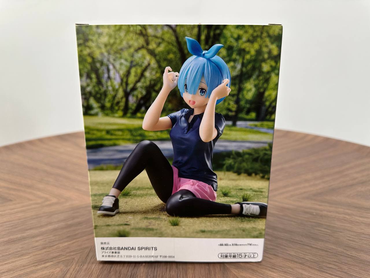 Re:Zero Starting Life in Another World Relax Time Rem Training Style Ver.