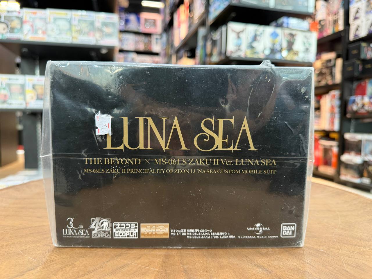 Luna Sea The Beyond Gunpla 40th Edition